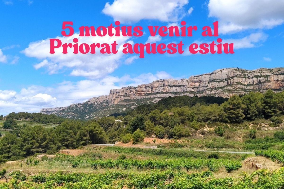 vista d'una vinya amb el montsant que convida a preparar una escapada al Priorat aquest estiu