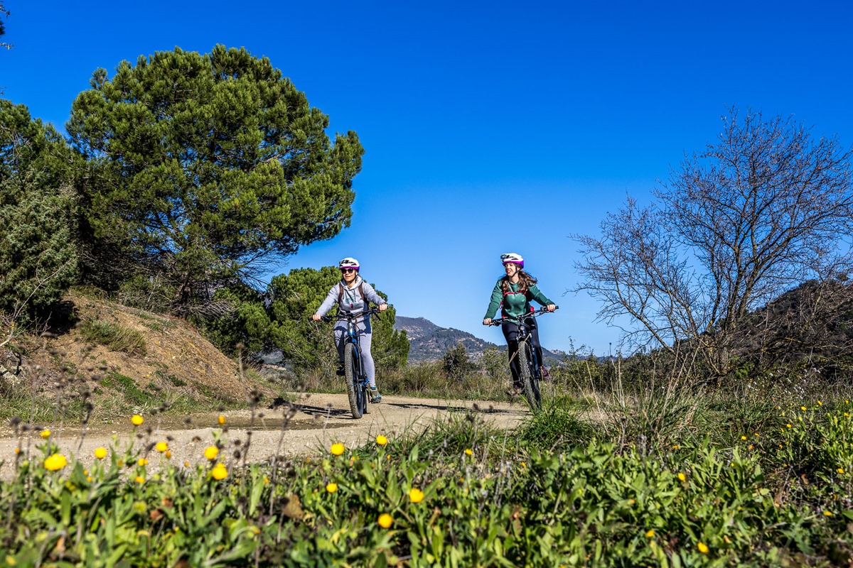 sortida en btt elèctrica de lloguer entre vinyes al priorat
