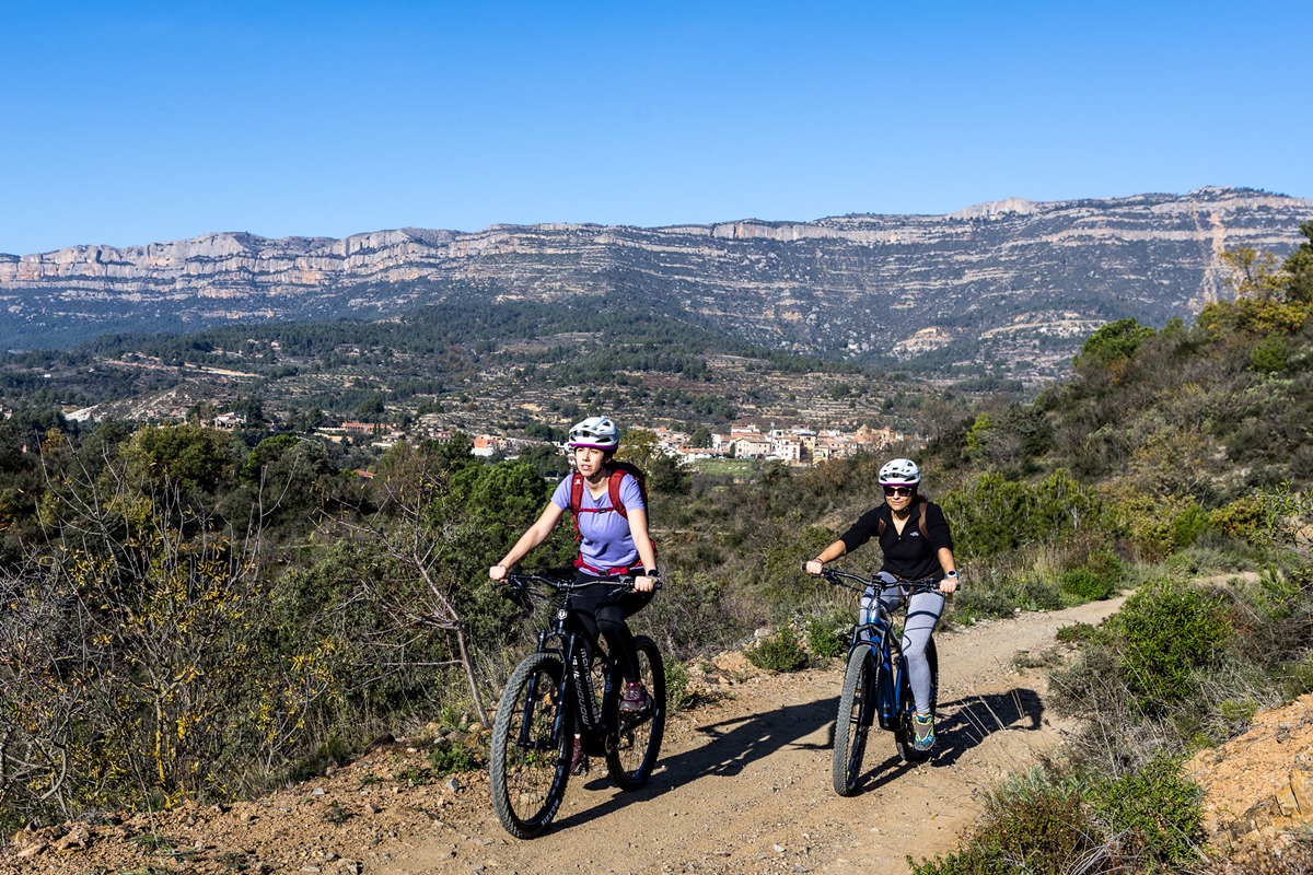 sortida en btt elèctrica de lloguer entre vinyes al priorat