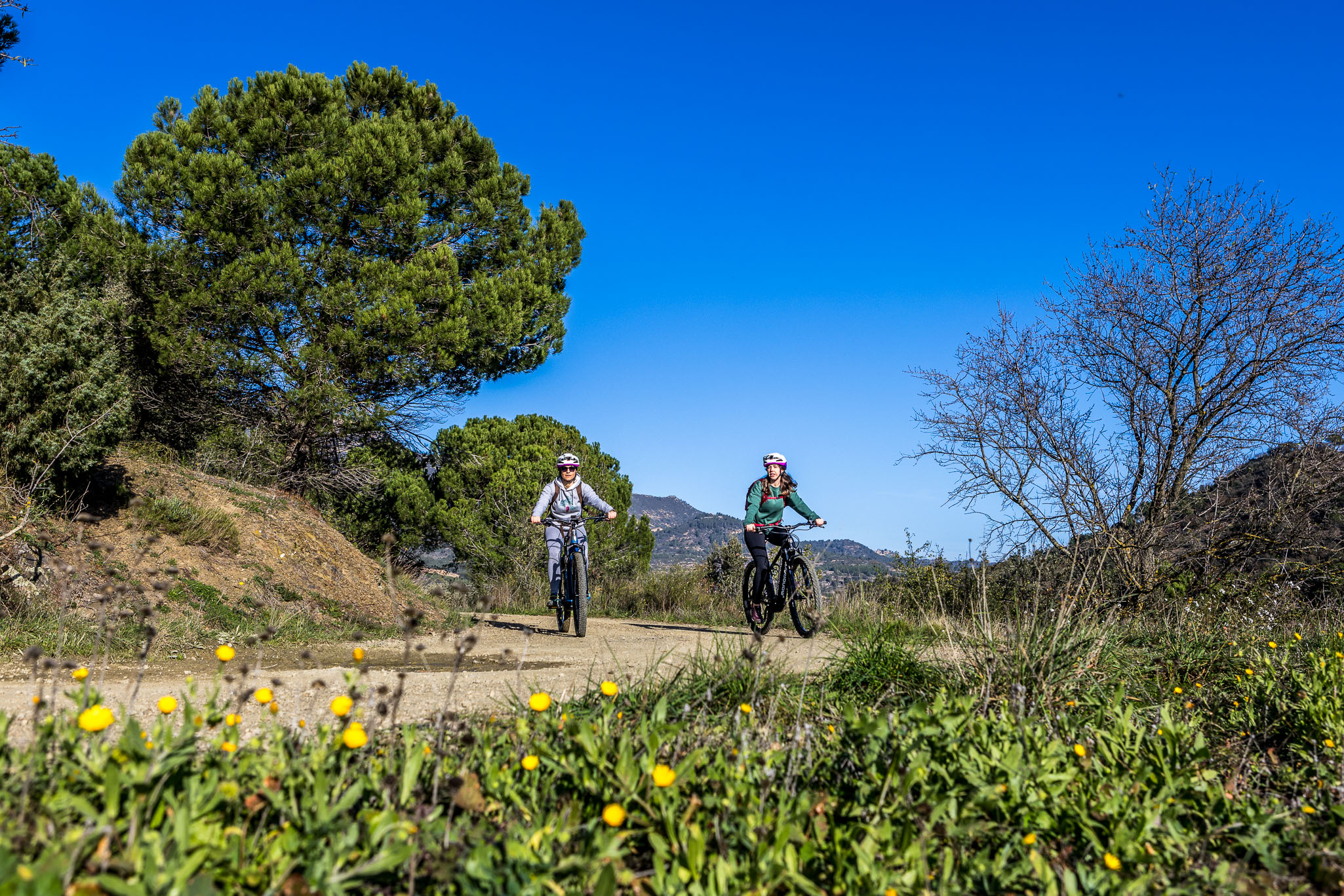 sortida en btt elèctrica de lloguer entre vinyes al priorat