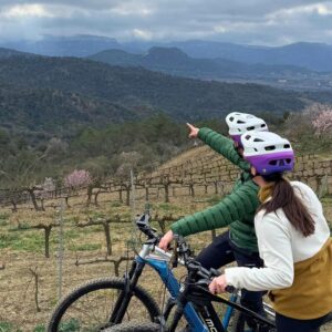 sortida en btt elèctrica de lloguer entre vinyes al priorat