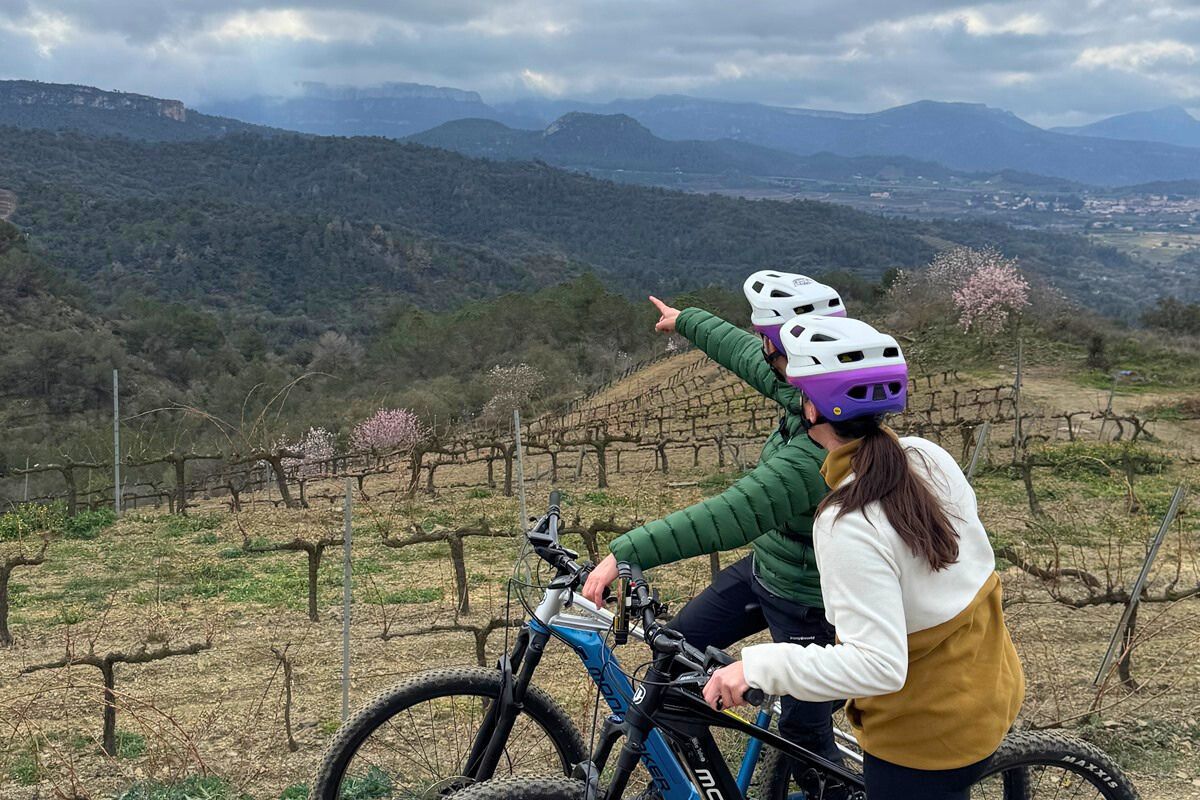VINYES PANORÀMIQUES EN E-BIKE A MAS ARDÈVOL