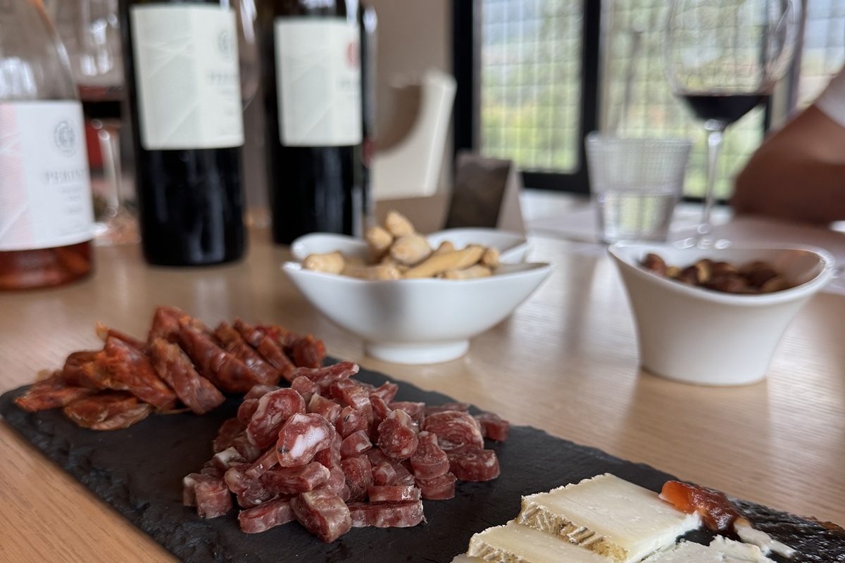 tast de vins a Celler Perinet al Priorat