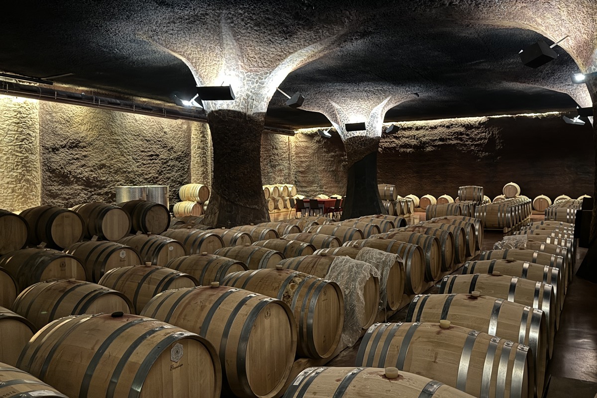 tast de vins a Celler Perinet al Priorat
