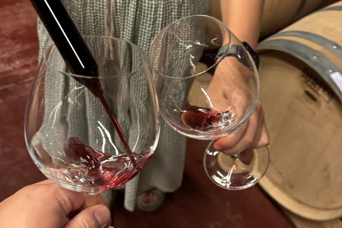 tast de vins a Celler Perinet al Priorat