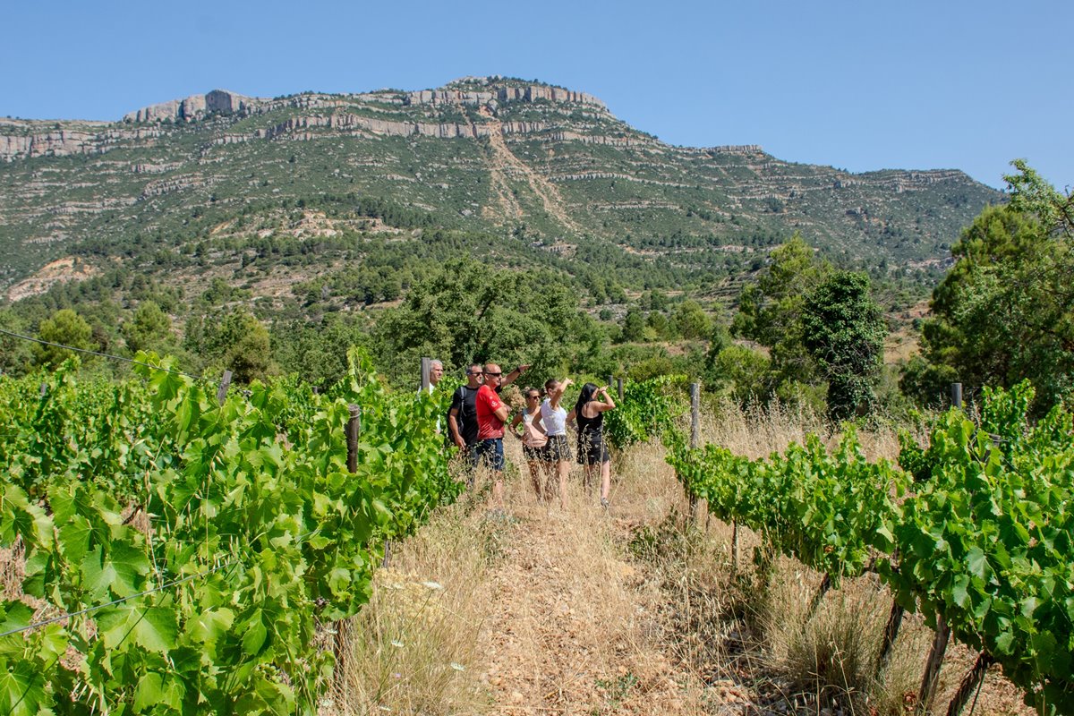 MOSAIC DEL PRIORAT: CAMINAR, CUIDAR I COMPRENDRE EL TERRITORI - Imatge 2