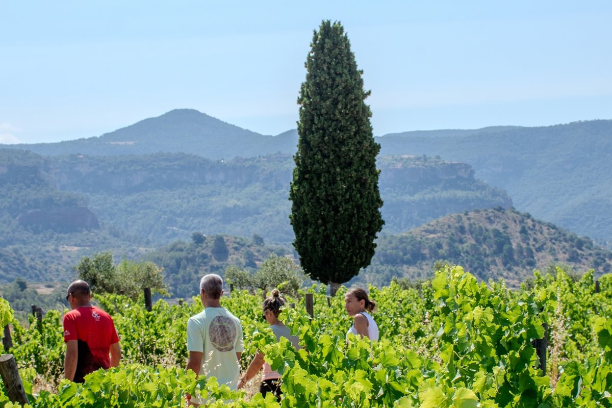 MOSAIC DEL PRIORAT: CAMINAR, CUIDAR I COMPRENDRE EL TERRITORI
