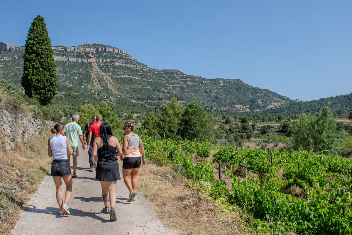 MOSAIC DEL PRIORAT: CAMINAR, CUIDAR I COMPRENDRE EL TERRITORI - Imatge 4
