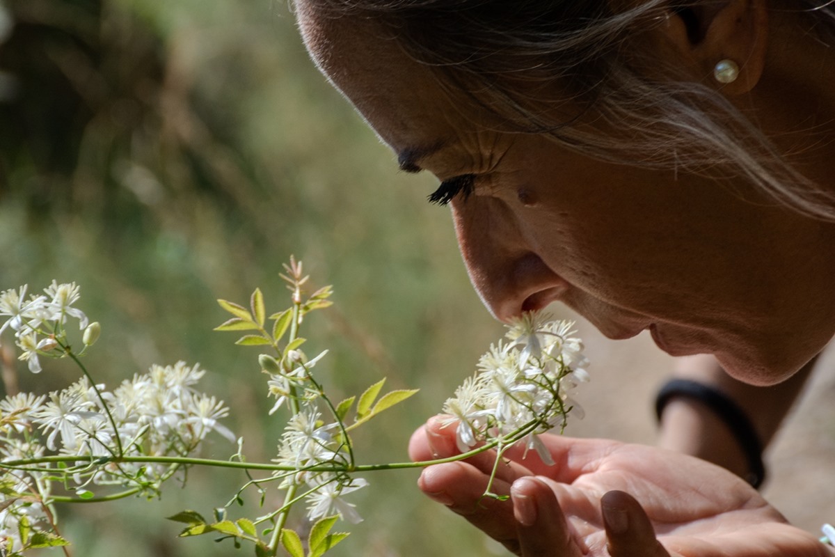 MOSAIC DEL PRIORAT: CAMINAR, CUIDAR I COMPRENDRE EL TERRITORI - Imatge 3